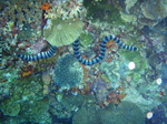 120316_15doljopoint.jpg