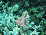 120316_20doljopoint.jpg